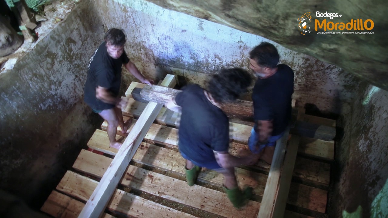 Elaboración vino El Cotarro junto con Alfredo Maestro Tejero