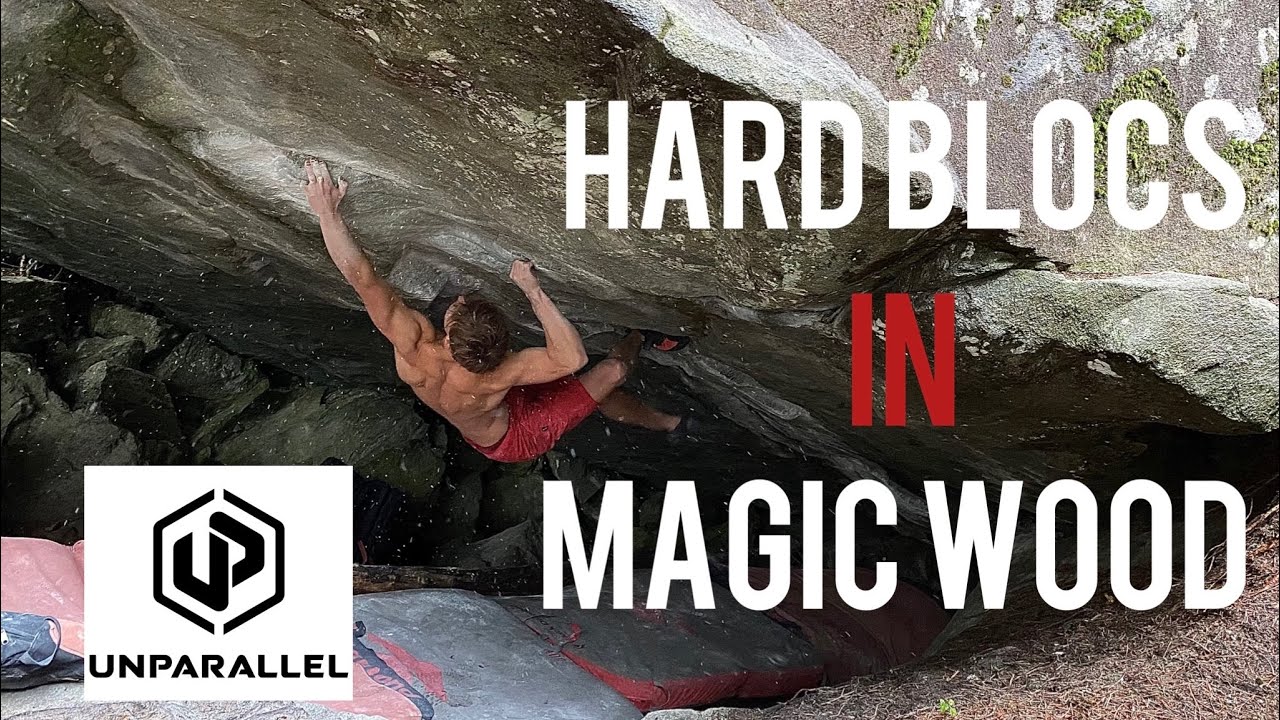 Bouldering on the HARDEST and BEST Blocs in MAGIC WOOD • Boys in the wood🇨🇭🌲