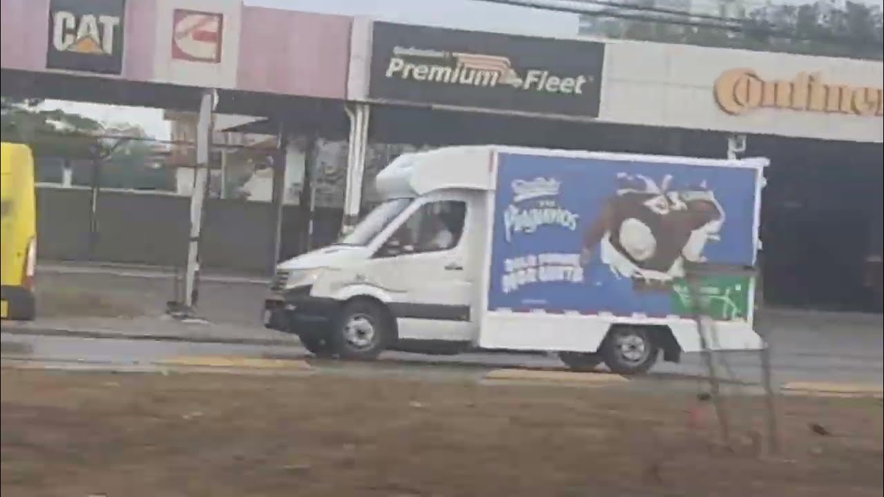 Mercado Libre & Pingüinos Marinela