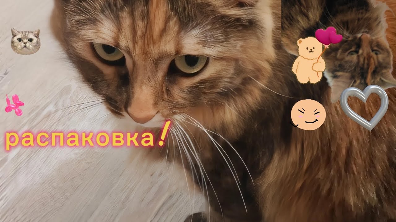 Распаковка подарочка!