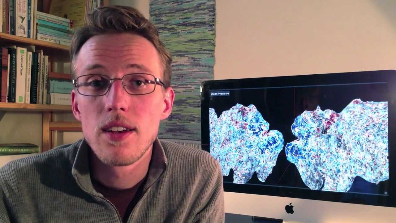 Semantic Representation in the Human Brain