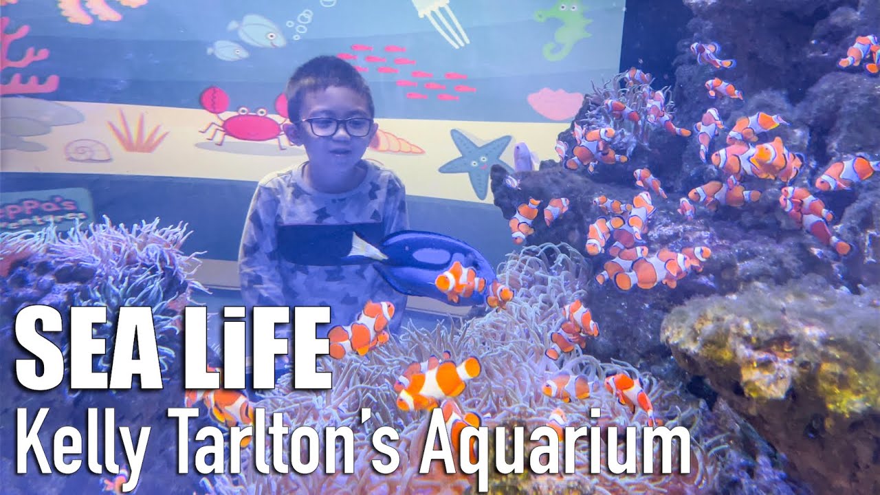 Exploring SEA LIFE KELLY TARLTON'S AQUARIUM || AUCKLAND, NEW ZEALAND