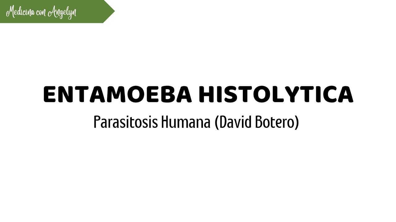 Entamoeba histolytica | Morfología, Ciclo de Vida y Patogenia Explicado Fácil