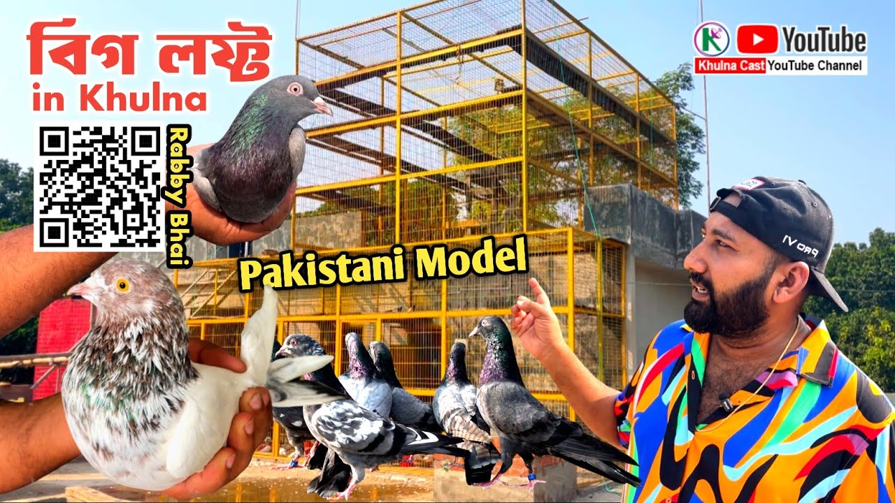 Biggest Pigeon Loft in Khulna Bangladesh।।খুলনার সব থেকে বড় কবুতরের লাফ্ট।।পাকিস্তানি মডেলের লফ্ট