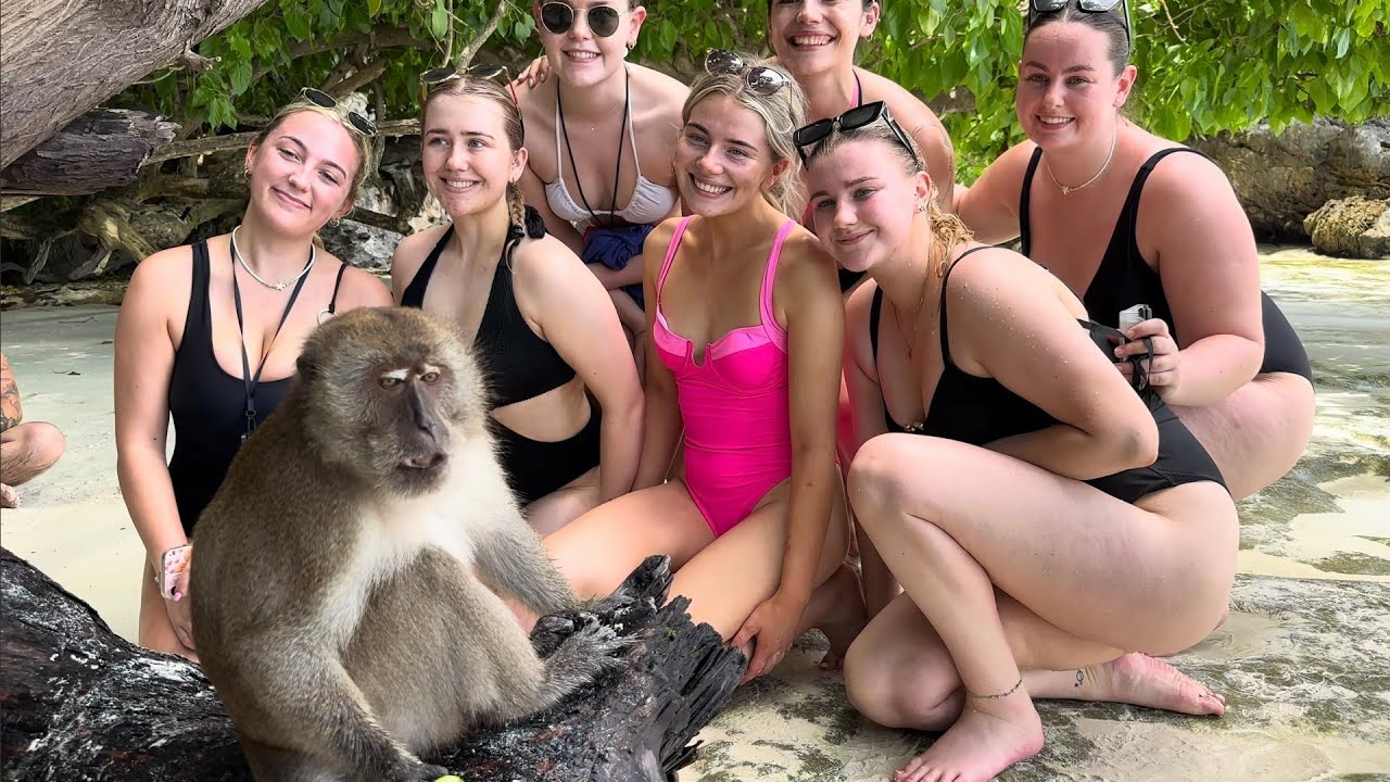 🇹🇭⛱️🐒 MONKEY BEACH PHI PHI ISLAND, UP CLOSE WITH CHEEKY MONKEYS IN TROPICAL PARADISE, THAILAND, 4K