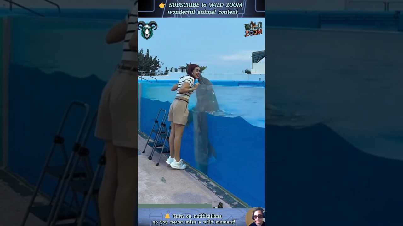 19 AMAZING Animal Clips You MUST See! ⚡ WILD ZOOM #animals #animalshorts  #animalclips  #babyanimals