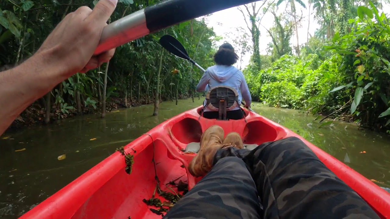The uncharted side of Peperpot Naturepark