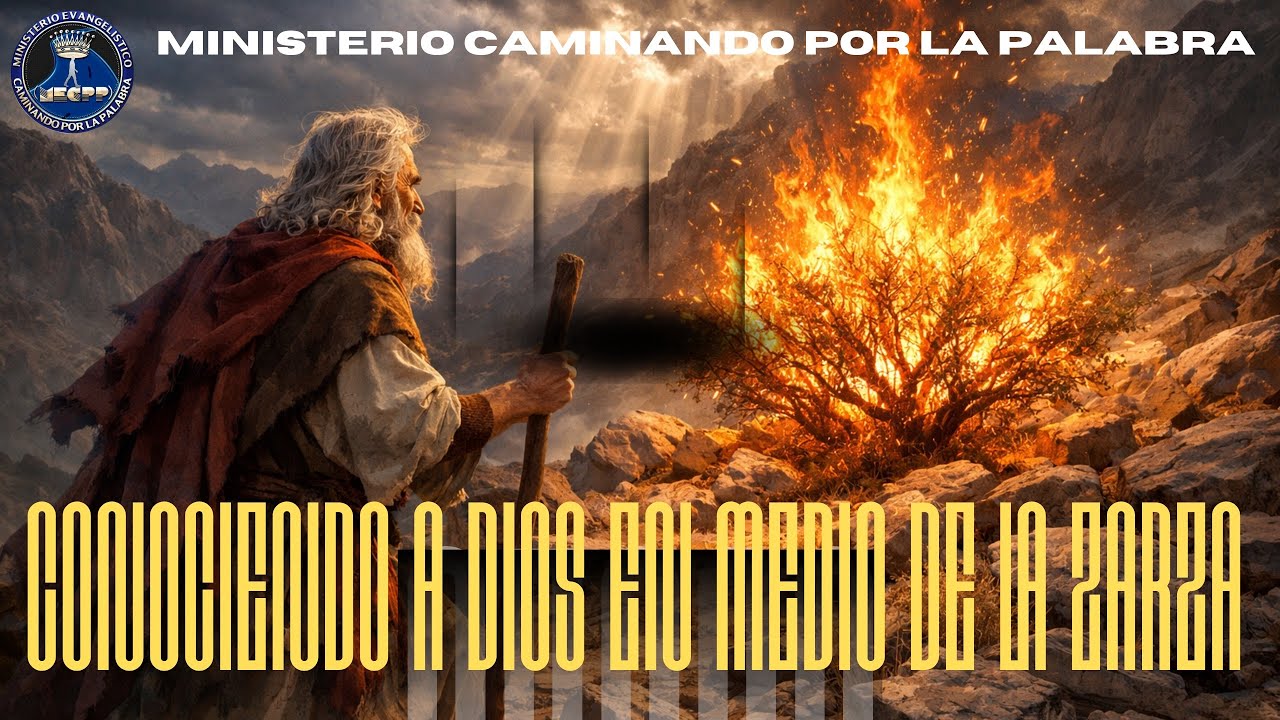conociendo a Dios en medio de la zarza #EnVivo