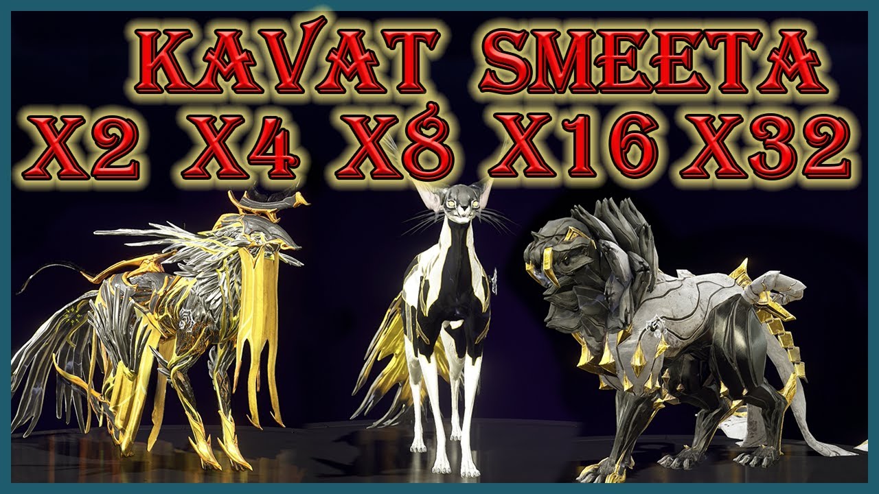 WARFRAME -Por que debes tener un kavat smeeta- Build + consejos para un X2- X4- X8- X16- X32 de bufo