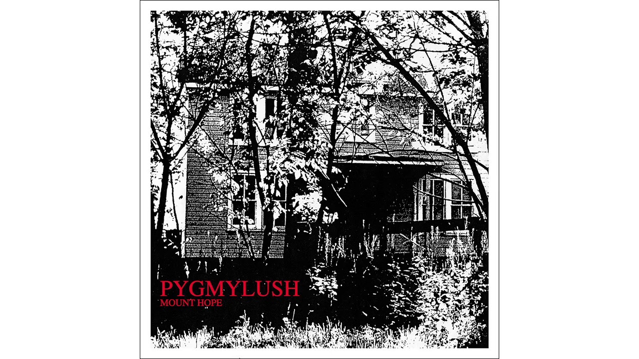 Pygmy Lush - Hard to Swallow