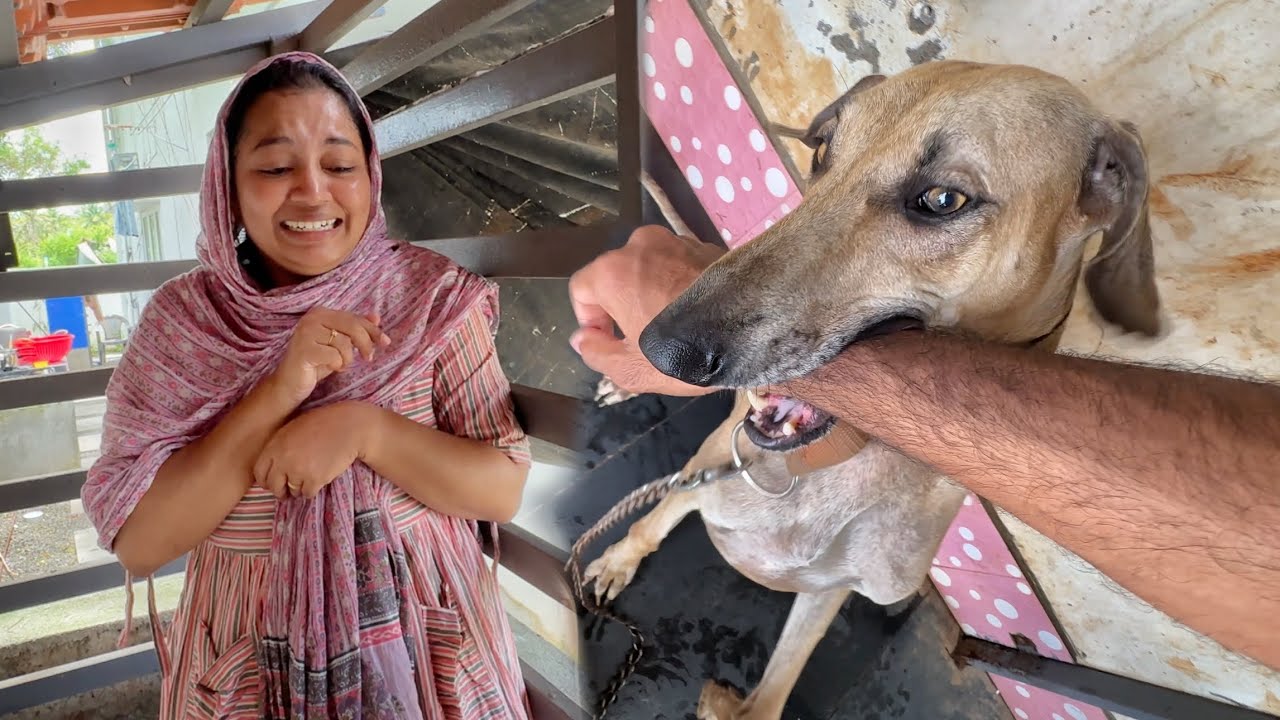 PAMI Living in *DOG CAGE* with DOG..😂