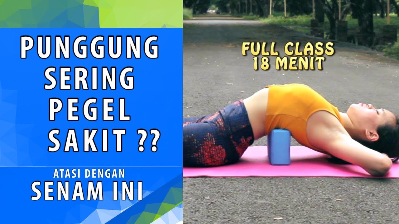 Senam Peregangan Punggung - Untuk Punggung Pegal dan Sakit