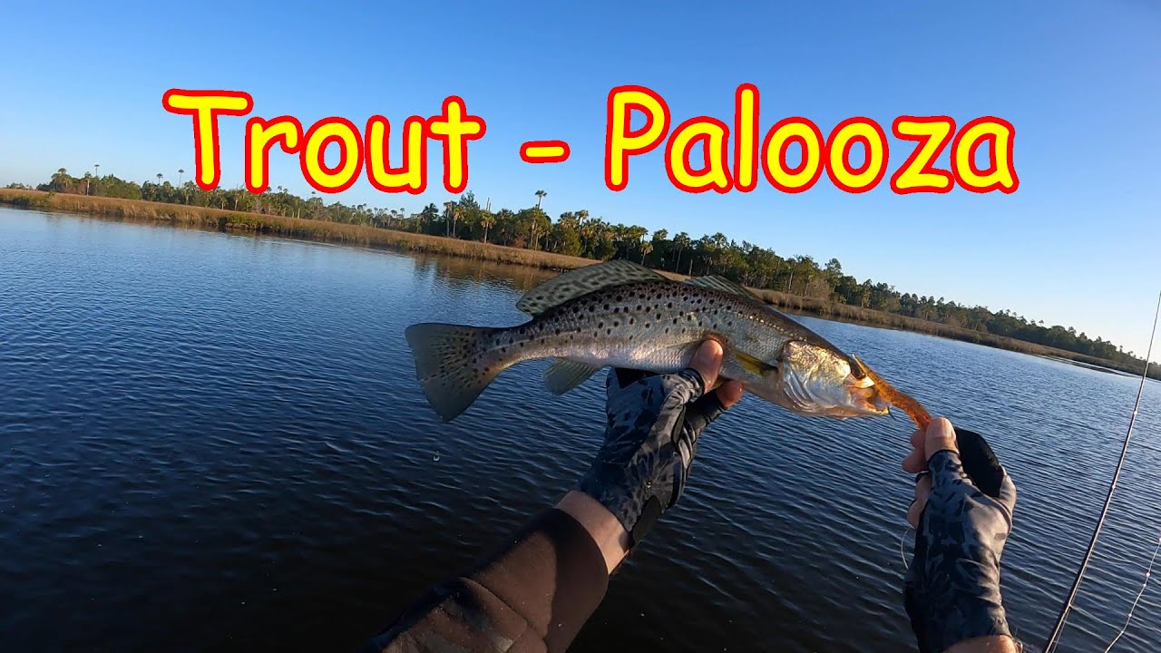 Crystal River Kayaking Fishing in Ozello Florida on Floridas Nature Coast