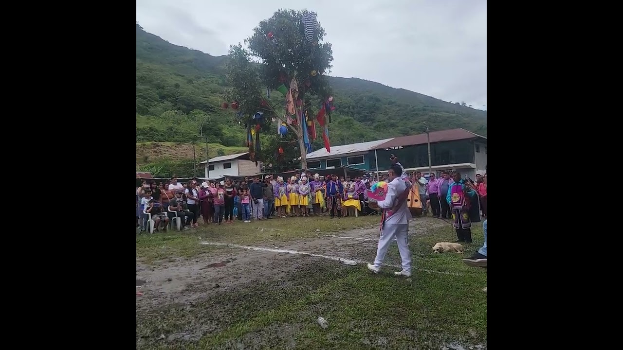 19 de febrero de 2026