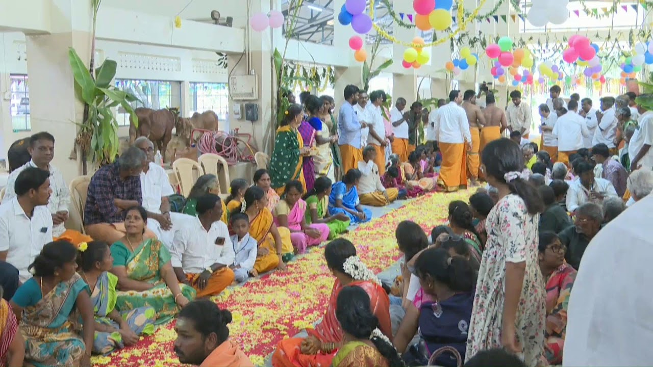 Beloved Sri Sakthi Amma performing Gho Pooja at Ghosala