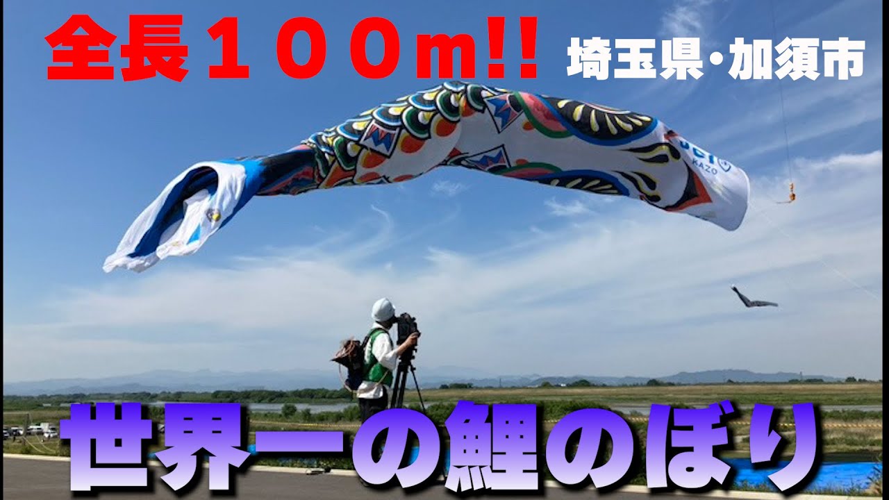 【LIVE】全長100ｍ！世界一のジャンボ鯉のぼりの遊泳生配信！　埼玉県・加須市民平和祭