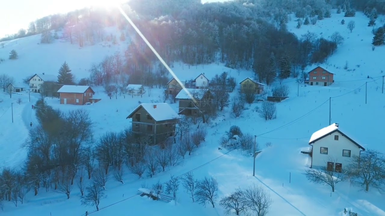 Spot Borovica Zima 2026