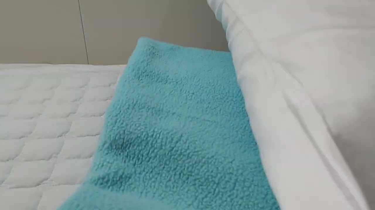 재주도브이로그