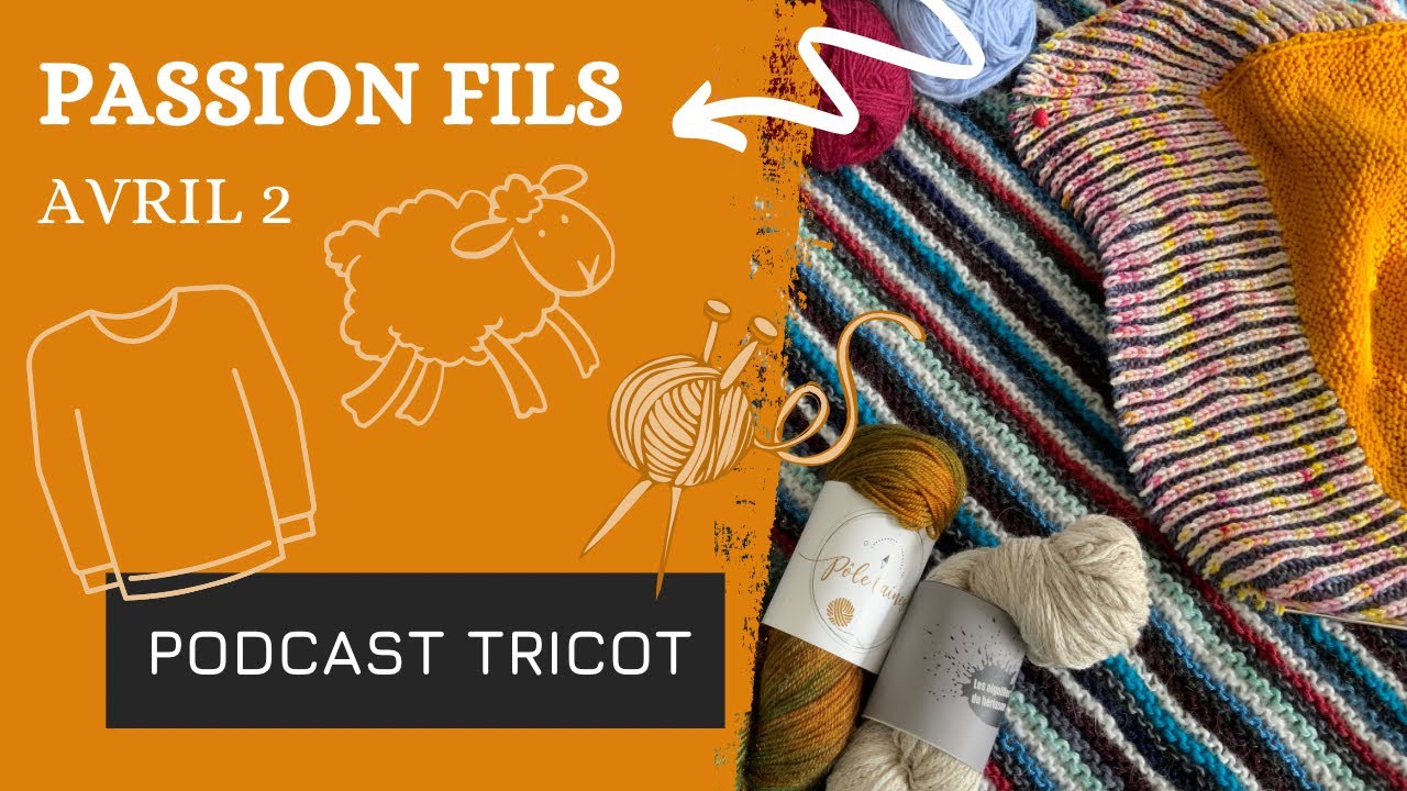 Passion fils 🐓 Avril #2 🐓 Avancées tricot et retour sur Laines en Nord 💚