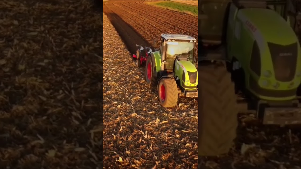 Claas Arion 630 + Agromasz #shorts #claas #farming