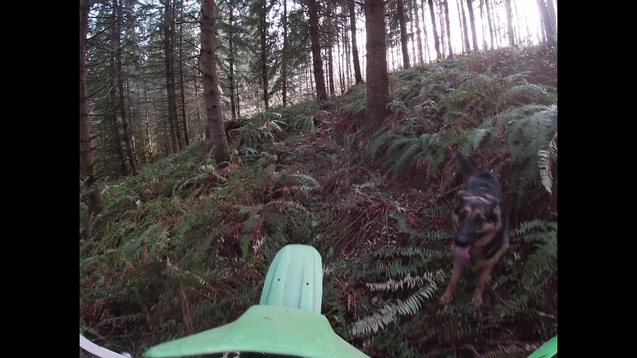 KDX 200 woods riding