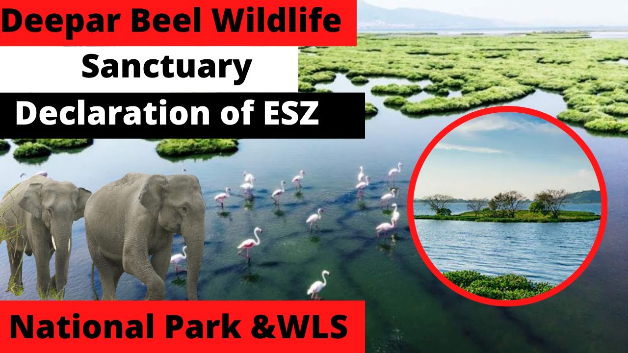 Deepar Beel Lake | Eco sensitive Zone Declaration| News Simplified |ForumIAS