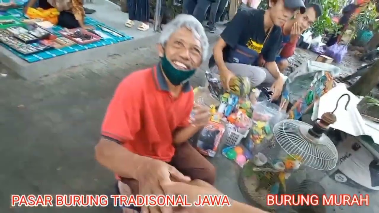 “Ulas Balik Pasar Burung Tradisional: Mengenang Jaman Enom Hunting Burung Murah”