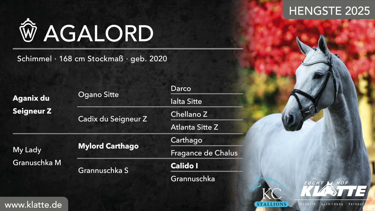 AGALORD *2020 v. Aganix du Seigneur x Mylord Carthago x Calido I Hengste 2025 www.klatte.de