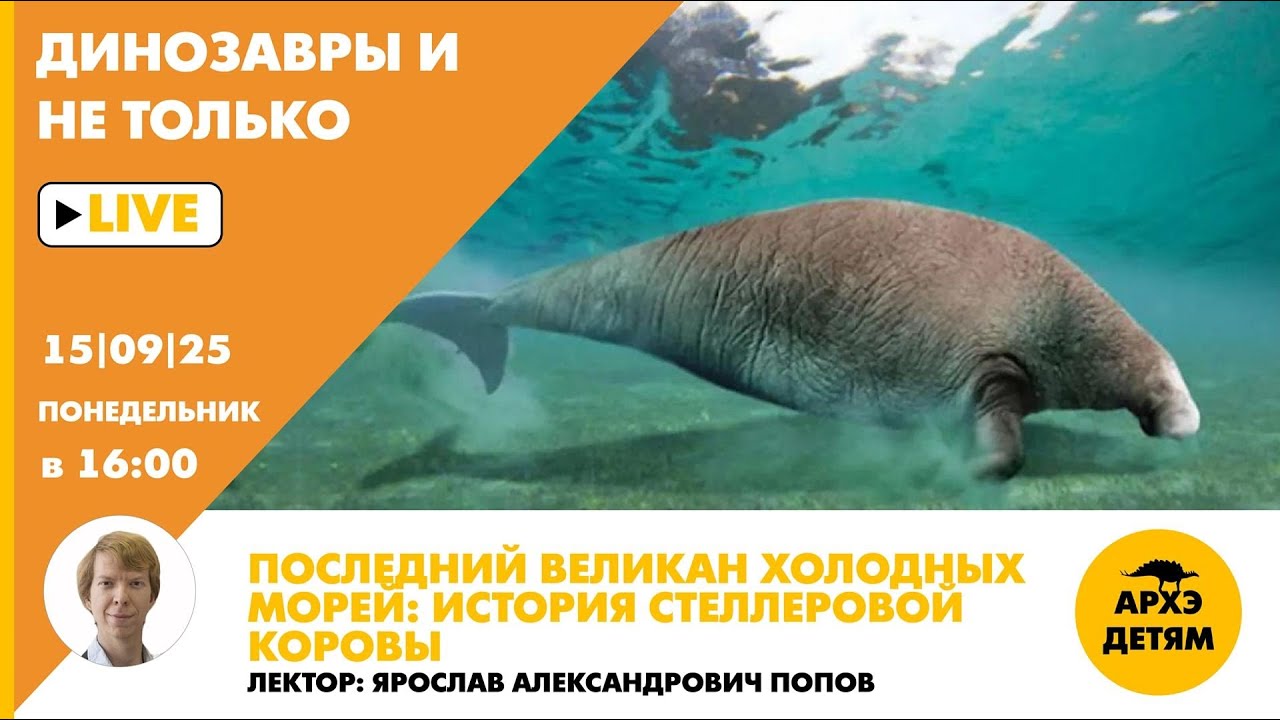 Занятие 