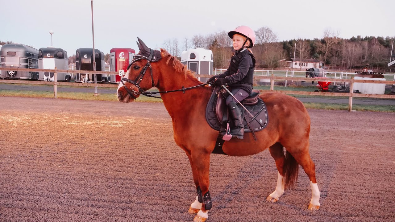 Chloes allra första hoppträning med Beckis & dom hoppar i galopp - VLOGG