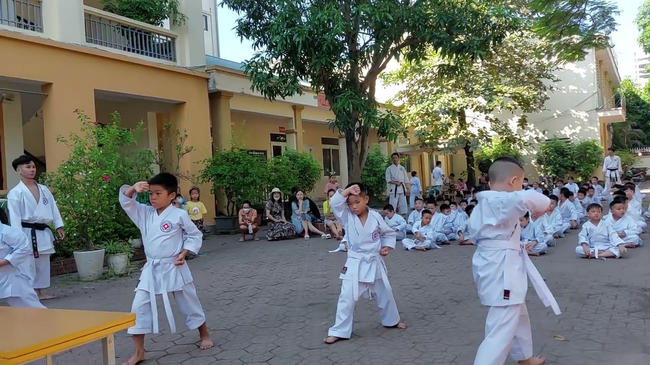 Nội dung thi lên đai Vàng karate