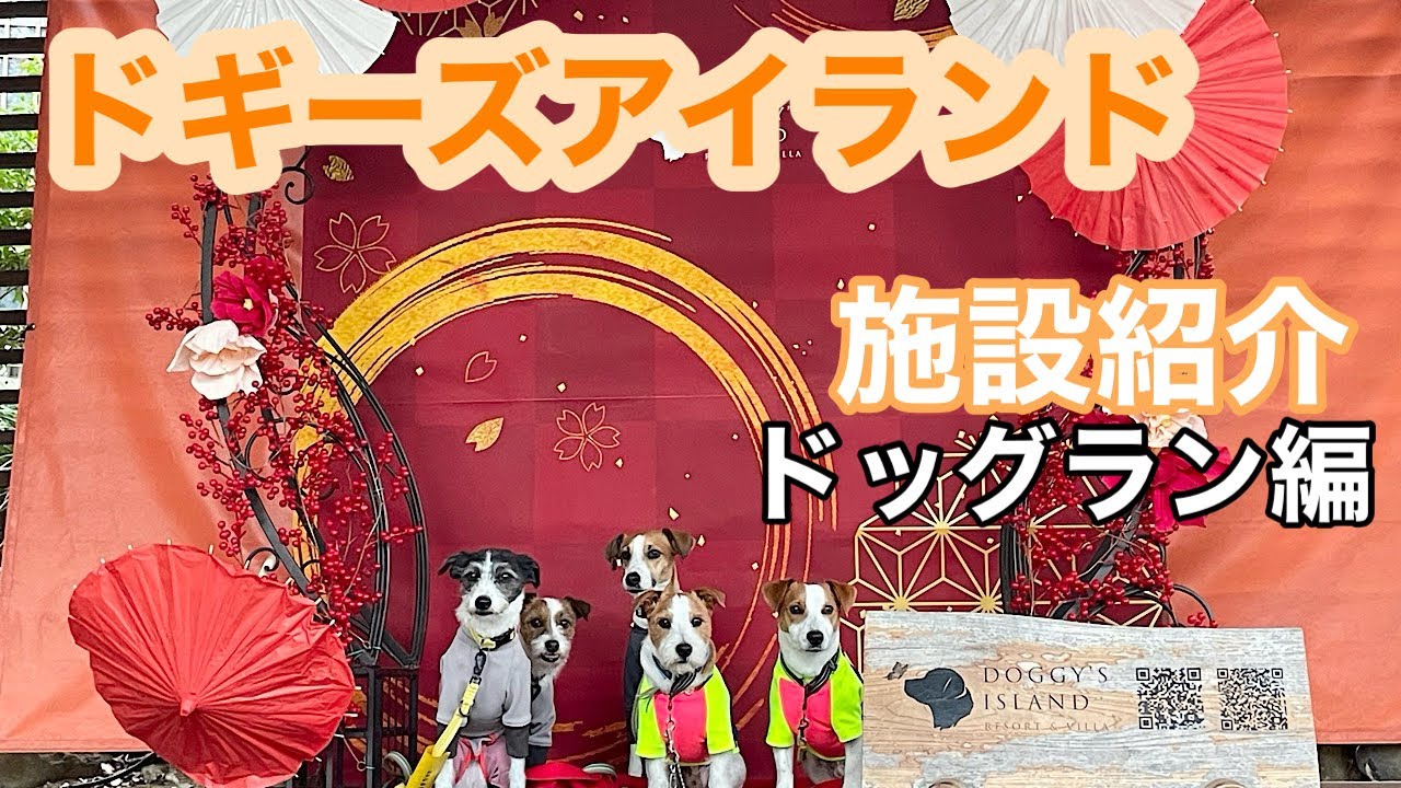 ドッグラン数11ヶ所!!ドギーズアイランドのドッグランを紹介