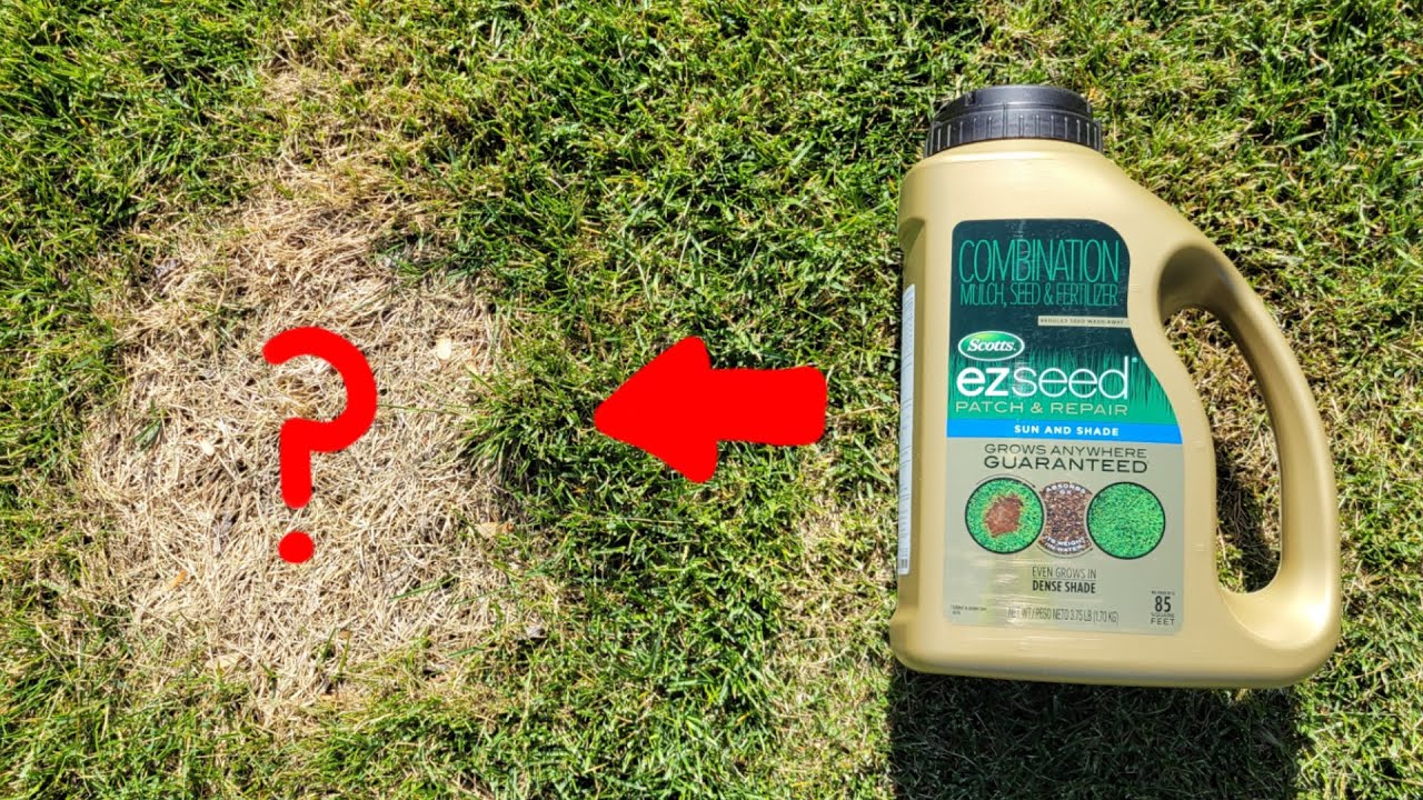 Scotts EZ Seed Patch And Repair &ndash; Application & Results