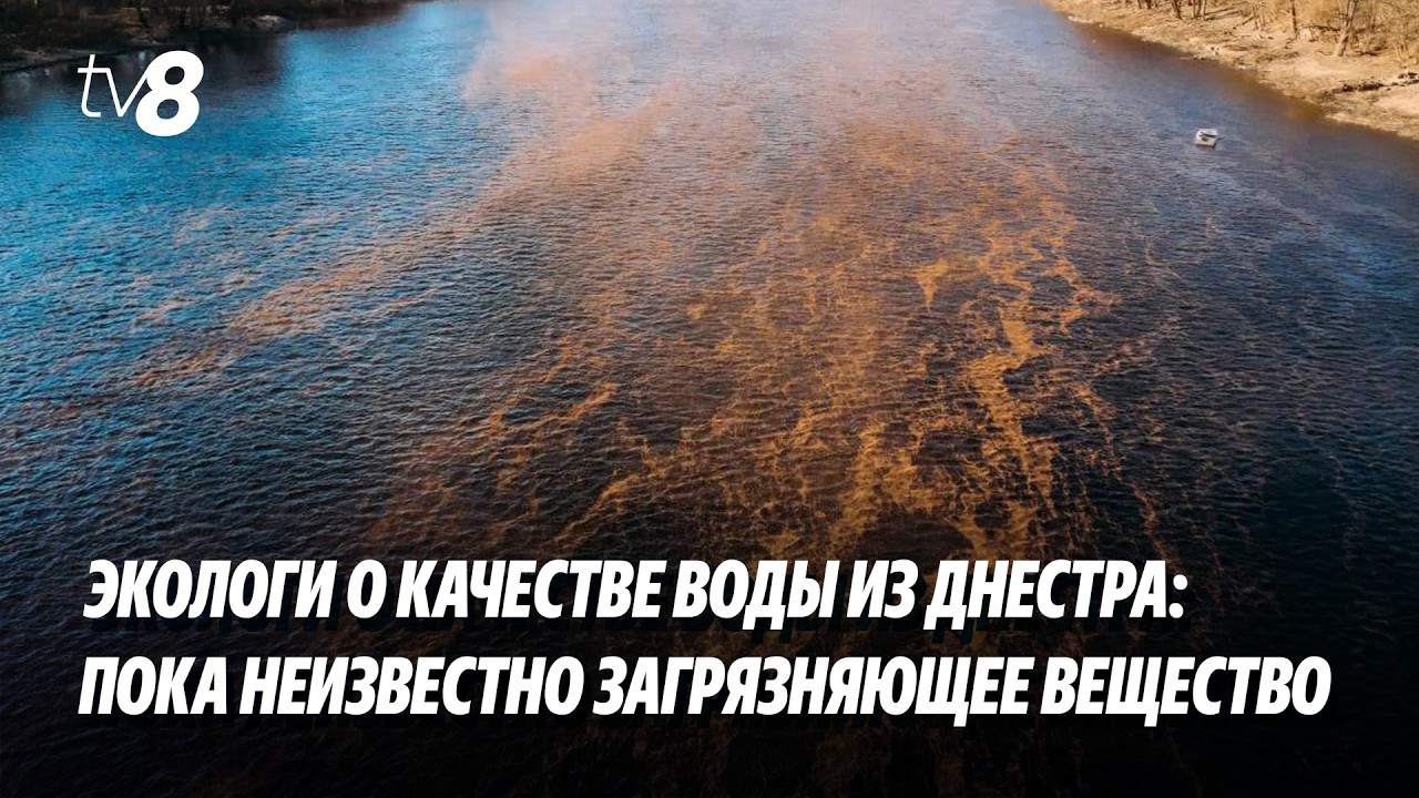 Экологи о качестве воды из Днестра: Пока неизвестно загрязняющее вещество, невозможно оценить риски