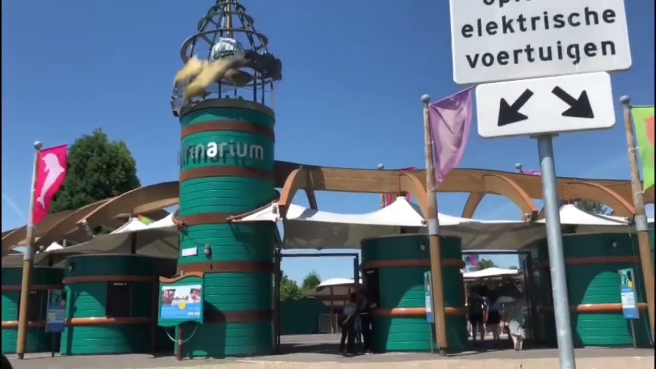Dolphinarium Harderwijk | dolphin holland | dolphinarium Nederland @AmazingHolland6