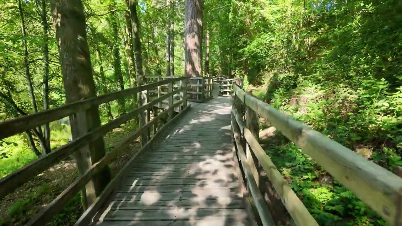 BETWS Y COED, North Wales. Walk through beautiful nature sights & sounds.