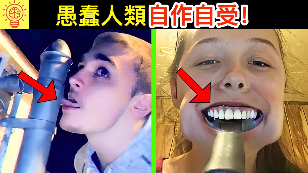 愚蠢人類自以為很帥做蠢事，結果報應來時哭也沒用了...
