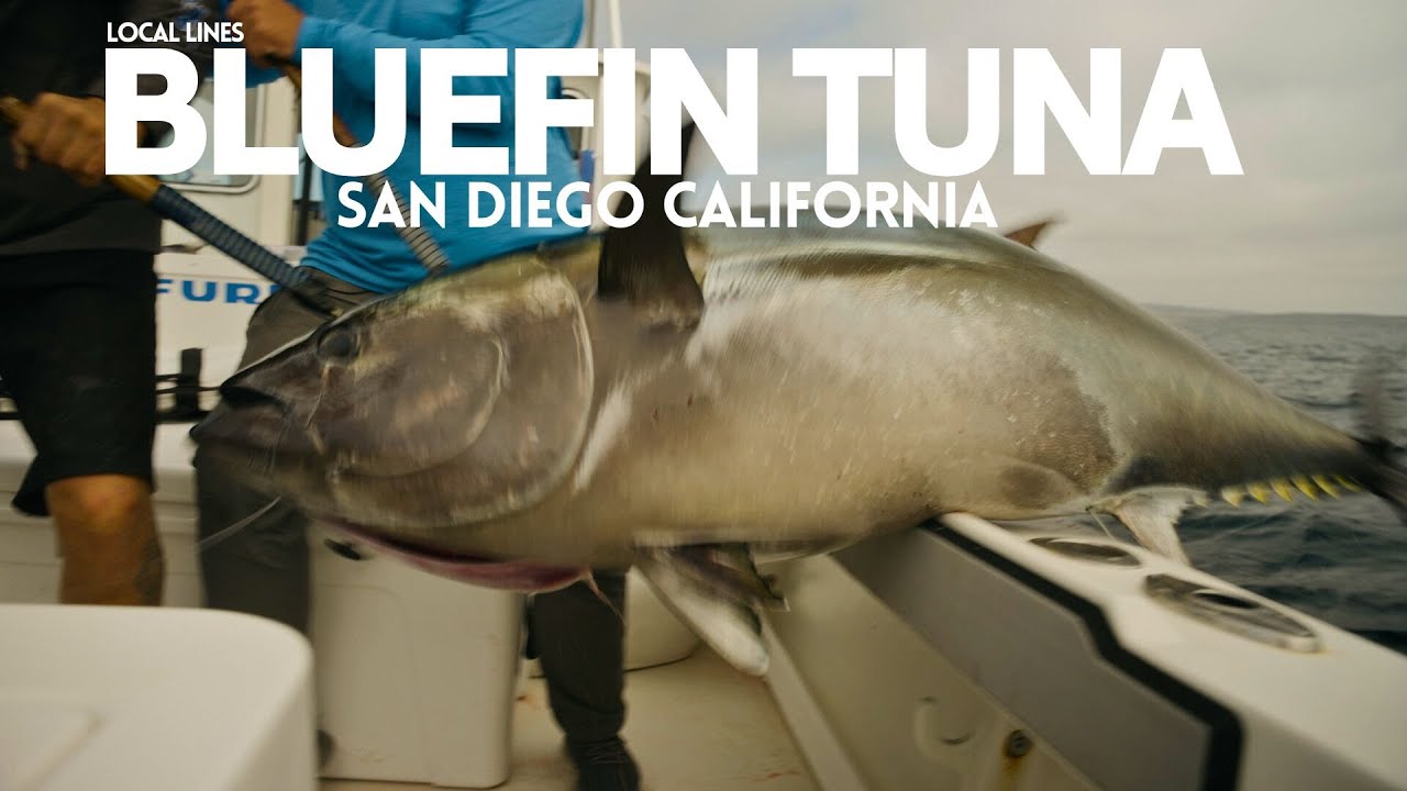 We Fought MASSIVE Bluefin Tuna for 10 HOURS Straight!!