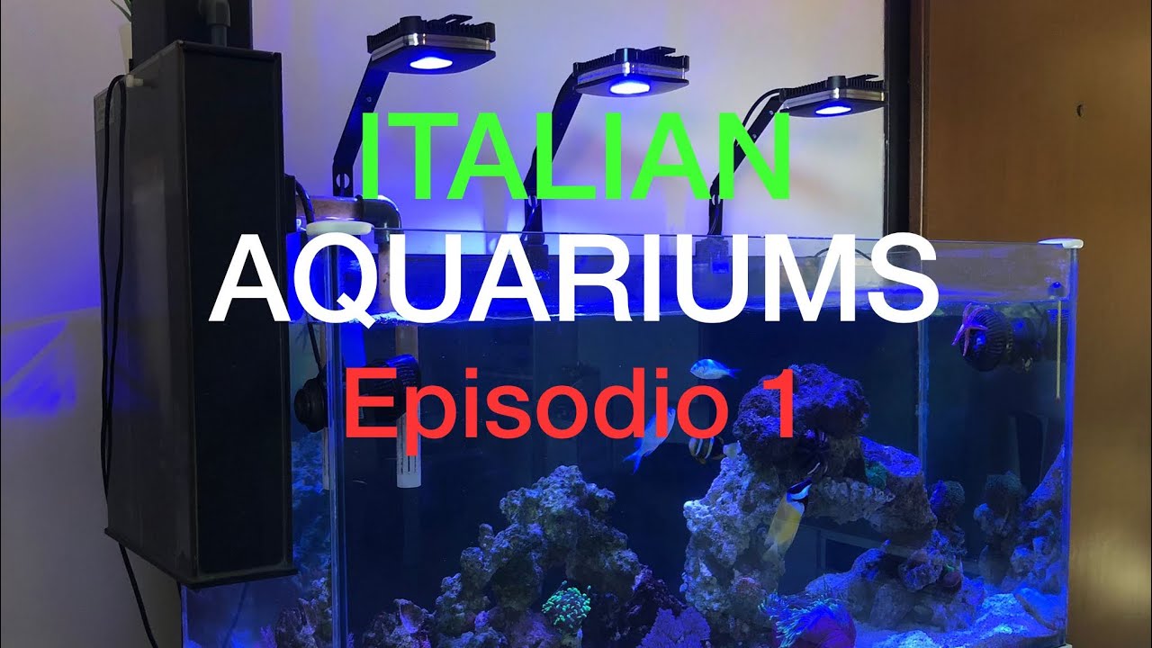 Italian Aquariums ( Episodio 1 )