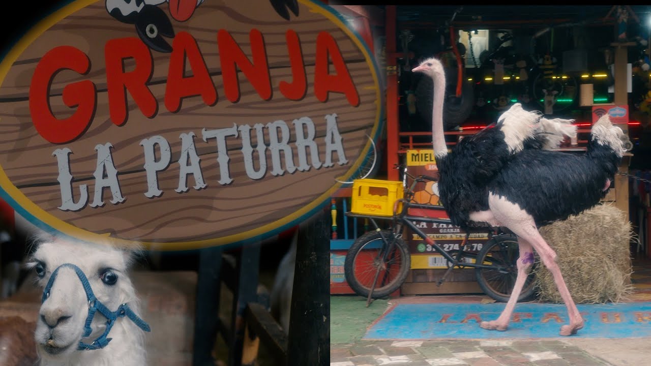 LA PATURRA - RESTAURANTE EN ENVIGADO- EL SALADO