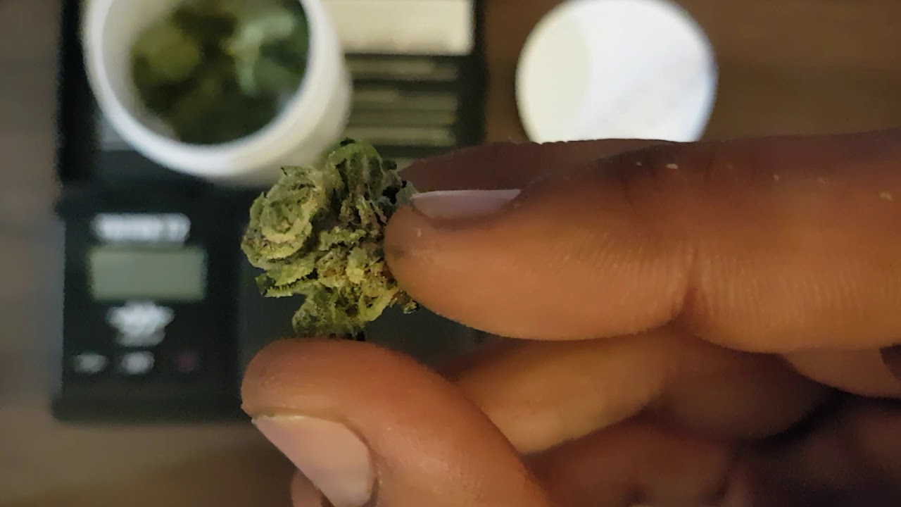 Canaca - Alien Dawg 3.5G
