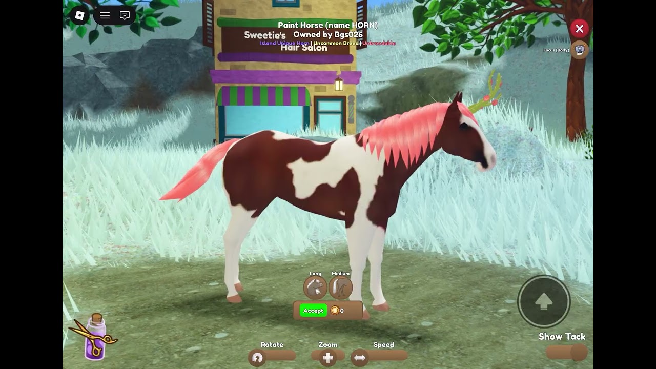 styling horses!