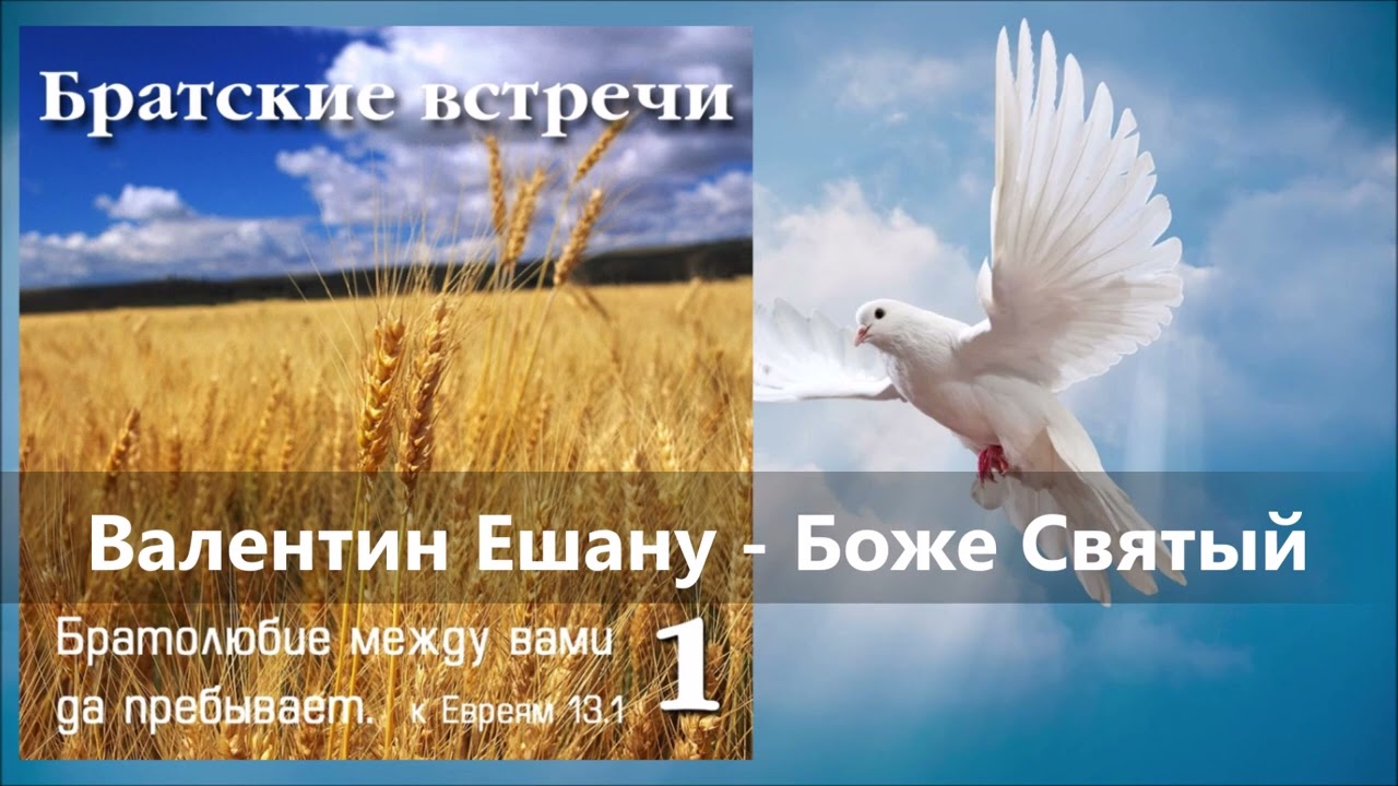 Валентин Ешану - Боже Святый | Христианская песня (Братские встречи 1)