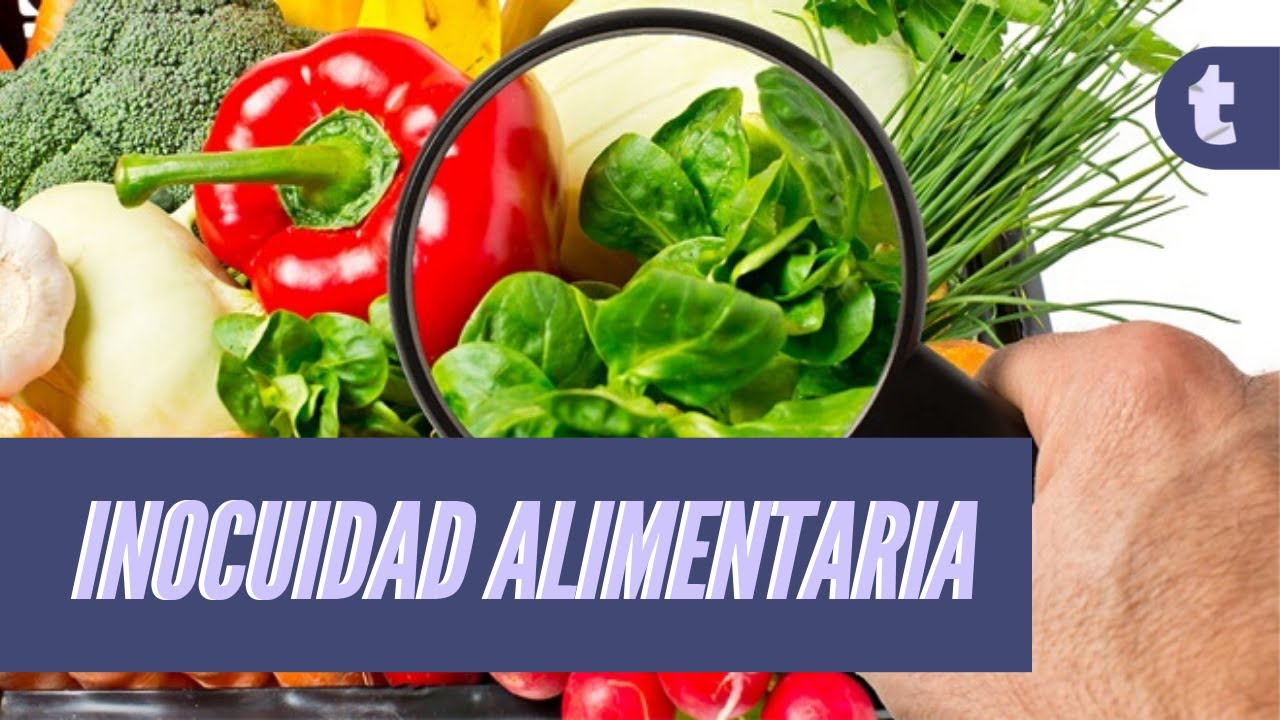 ¿Qué es la inocuidad alimentaria?