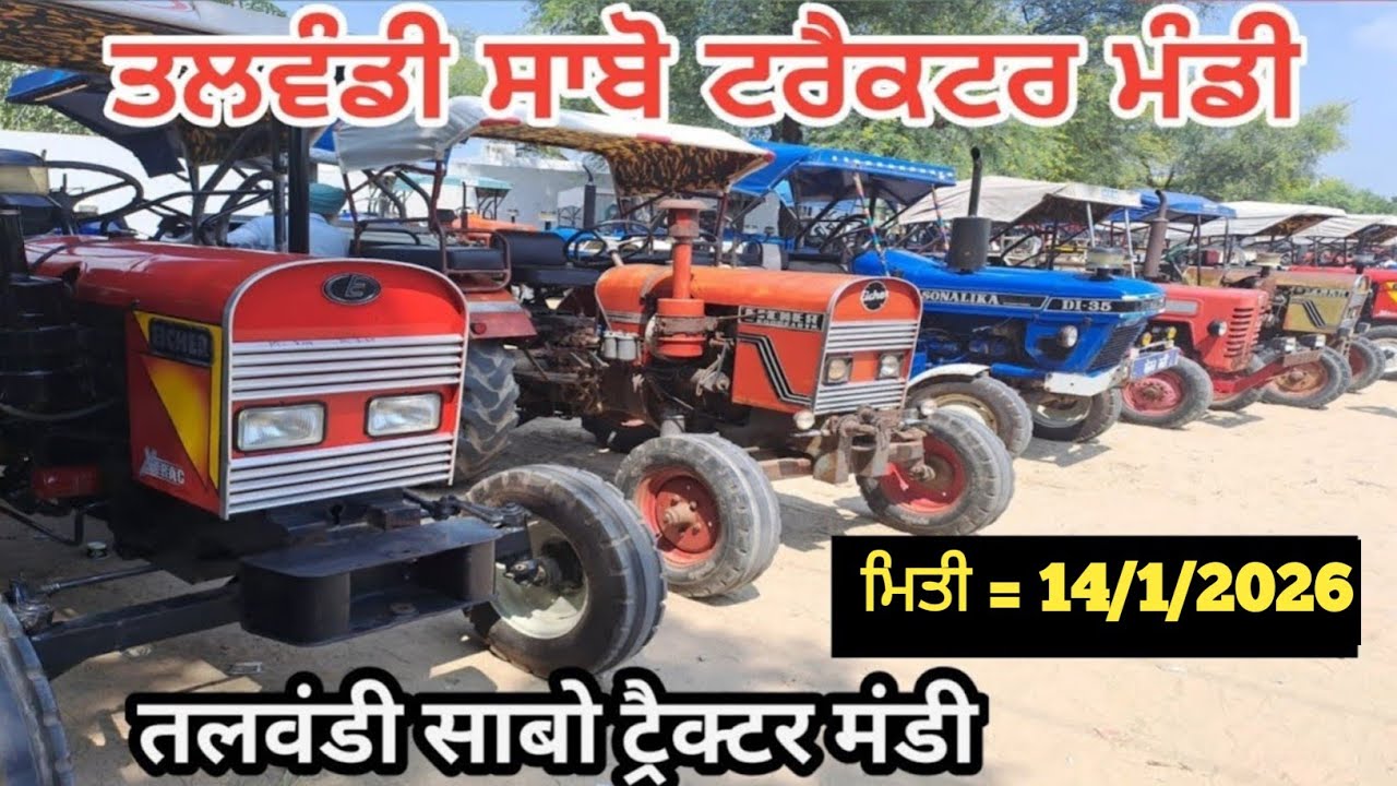 Talwandi sabo tractor Mandi तलवंडी साबो ट्रैक्टर मंडी #tractor #5911