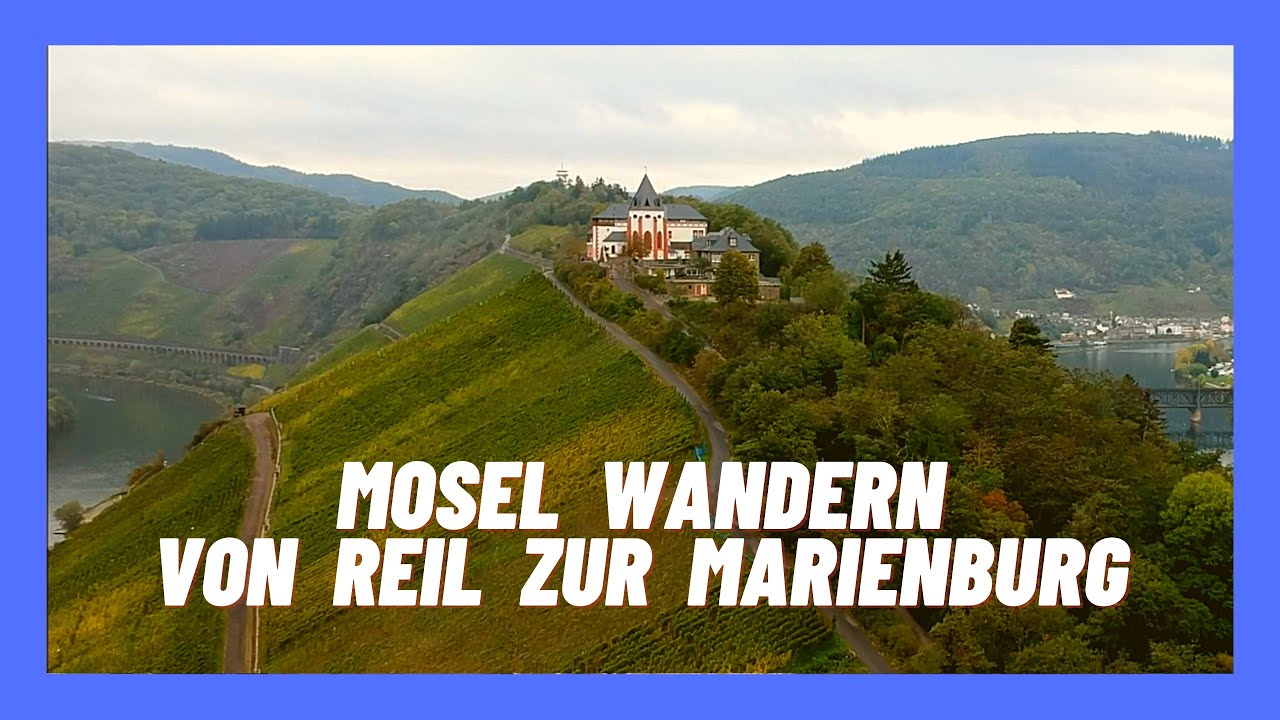 Mosel Wandern von Reil zur Marienburg