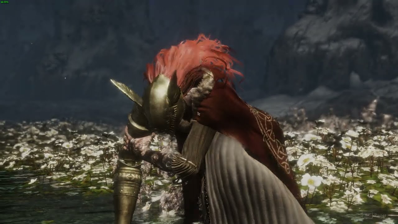 le build le plus cheaté contre malenia ng+1 (a la niche malenia)