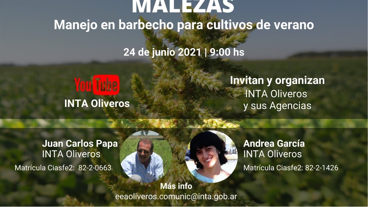 Charla virtual. Malezas: manejo en barbecho para cultivos de verano