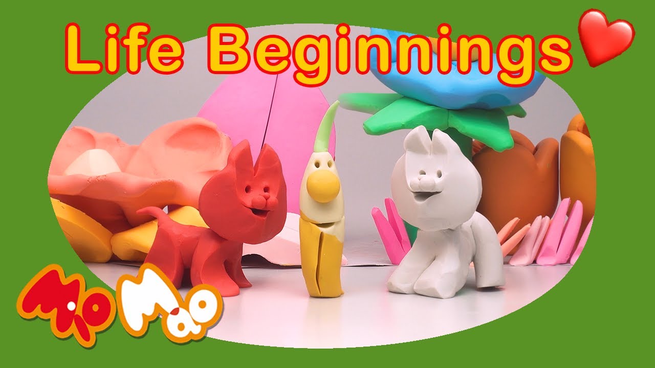 Mio Mao: Life Beginnings ♥️ #miomao #miomaolalala #nostalgia
