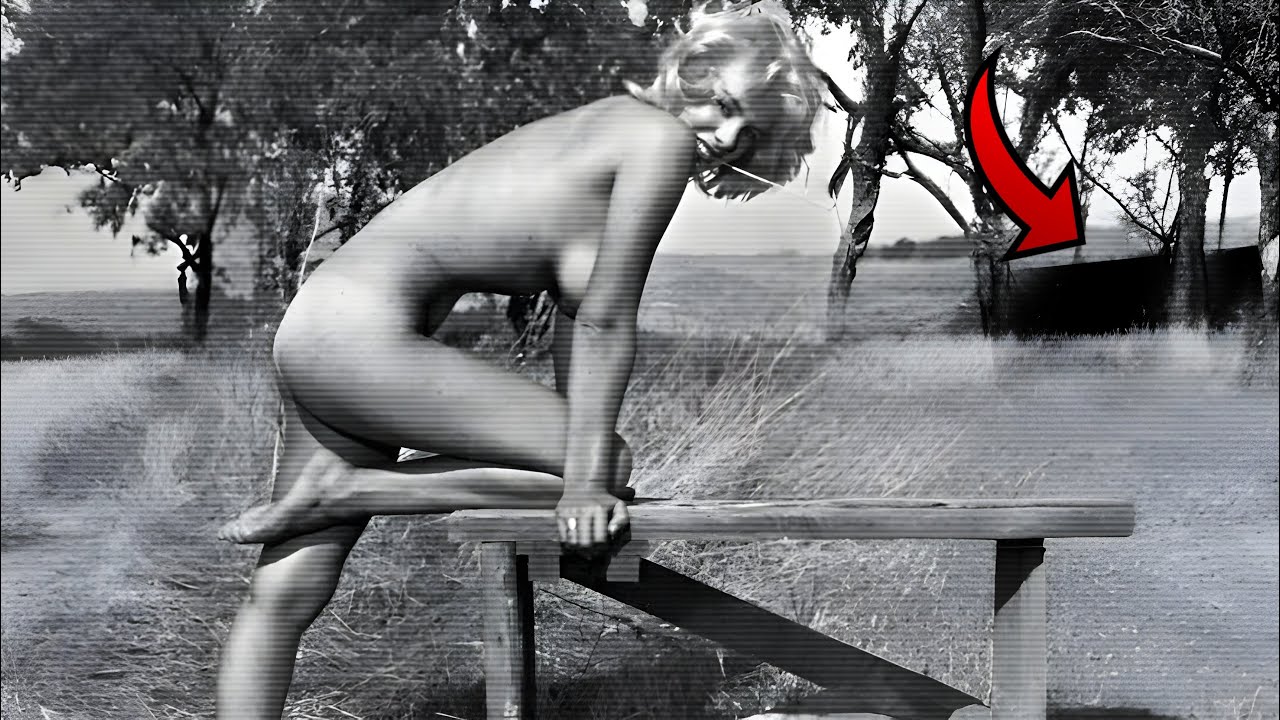 Hidden in the Archives 🌟 Rare Vintage Hollywood Celebrity Photos 1920s–1980s  Tape Of Times